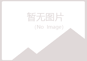 新疆迎夏化学有限公司